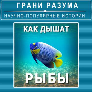 Как дышат рыбы - Анатолий Стрельцов Грани разума