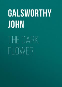 The Dark Flower - Galsworthy John 
