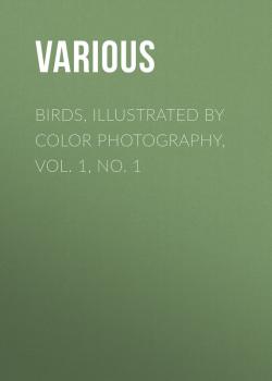 Birds, Illustrated by Color Photography, Vol. 1, No. 1 - Various 