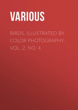 Birds, Illustrated by Color Photography, Vol. 2, No. 4 - Various 