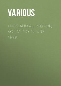 Birds and All Nature, Vol. VI, No. 1, June 1899 - Various 