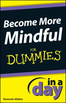 Become More Mindful In A Day For Dummies - Shamash  Alidina 