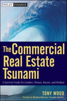 The Commercial Real Estate Tsunami. A Survival Guide for Lenders, Owners, Buyers, and Brokers - Tony  Wood 