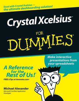 Crystal Xcelsius For Dummies - Michael  Alexander 