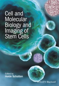 Cell and Molecular Biology and Imaging of Stem Cells - Heide  Schatten 