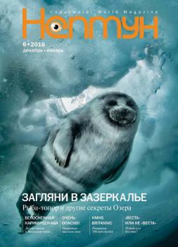 Нептун №6/2016 - Отсутствует Журнал «Нептун» 2016