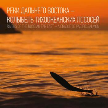 Реки Дальнего Востока – колыбель тихоокеанских лососей - Наталья Островская 