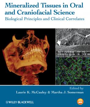 Mineralized Tissues in Oral and Craniofacial Science. Biological Principles and Clinical Correlates - Somerman Martha J. 
