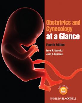 Obstetrics and Gynecology at a Glance - Norwitz Errol R. 