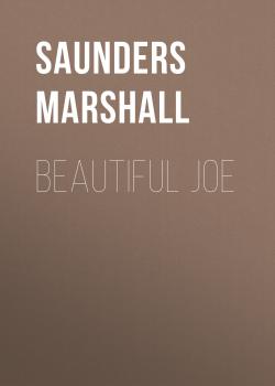 Beautiful Joe - Saunders Marshall 