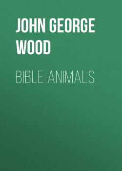 Bible Animals - John George Wood 