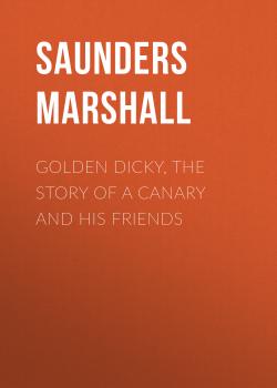 Golden Dicky, The Story of a Canary and His Friends - Saunders Marshall 