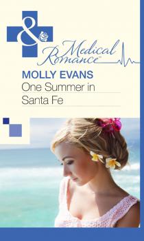 One Summer In Santa Fe - Molly  Evans 