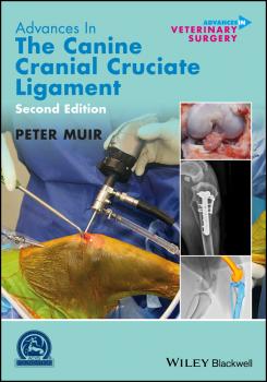 Advances in the Canine Cranial Cruciate Ligament - Peter  Muir 