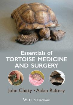 Essentials of Tortoise Medicine and Surgery - John  Chitty 
