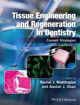 Tissue Engineering and Regeneration in Dentistry. Current Strategies - Rachel Waddington J. 