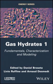 Gas Hydrates 1. Fundamentals, Characterization and Modeling - Daniel  Broseta 