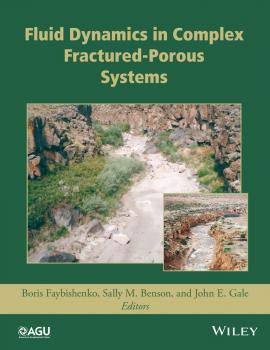 Fluid Dynamics in Complex Fractured-Porous Systems - Boris  Faybishenko 