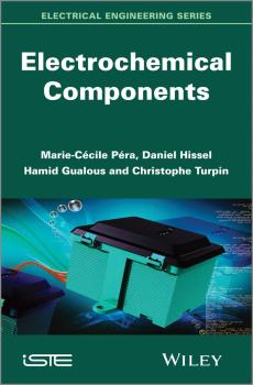 Electrochemical Components - Daniel  Hissel 