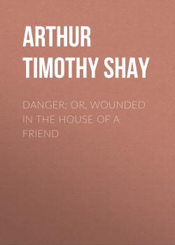 Danger; Or, Wounded in the House of a Friend - Arthur Timothy Shay 