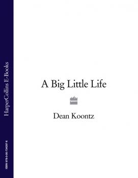 A Big Little Life - Dean Koontz 