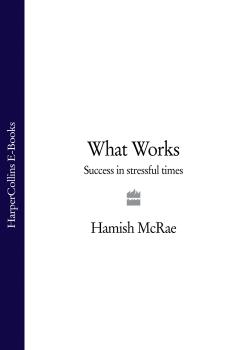 What Works: Success in Stressful Times - Hamish  McRae 