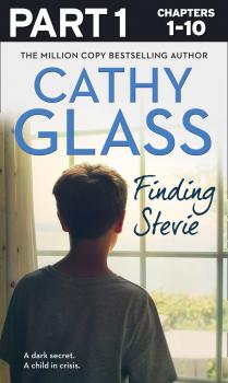 Finding Stevie: Part 1 of 3: A teenager in crisis - Cathy  Glass 