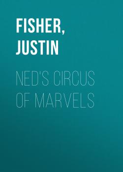 Ned's Circus Of Marvels - Justin  Fisher 