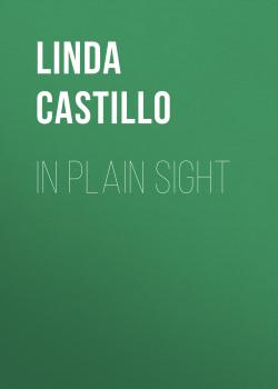 In Plain Sight - Linda  Castillo Kate Burkholder