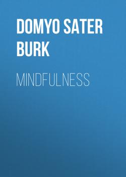 Mindfulness - Domyo Sater Burk Idiot's Guides