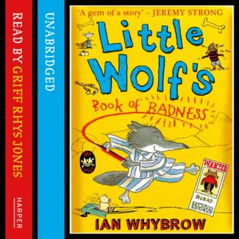 Little Wolf's Book of Badness - Ian  Whybrow 