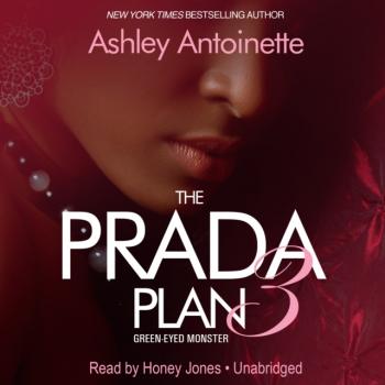 Prada Plan 3 - Ashley Antoinette The Prada Plan Series