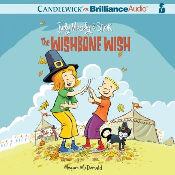 Judy Moody & Stink: The Wishbone Wish - Megan  McDonald Judy Moody & Stink