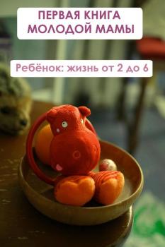 Ребёнок: жизнь от двух до 6 - Илья Мельников Первая книга молодой мамы