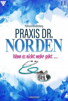Praxis Dr. Norden 11 – Arztroman - Patricia Vandenberg Praxis Dr. Norden