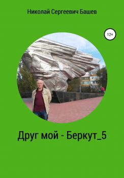 Друг мой – Беркут 5 - Николай Сергеевич Башев 