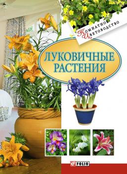 Луковичные растения - Отсутствует Комнатное цветоводство