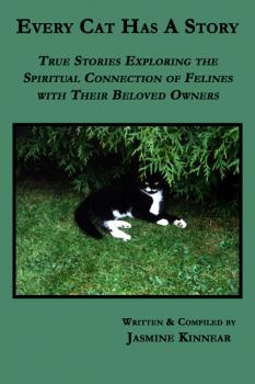 Every Cat Has A Story: True Stories Exploring the Spiritual Connection of Felines with Their Beloved Owners - Jasmine Kinnear Every Story