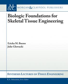 Biologic Foundations for Skeletal Tissue Engineering - Ericka Bueno Synthesis Lectures on Tissue Engineering