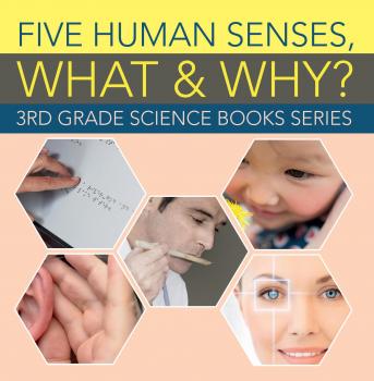 Five Human Senses, What & Why? : 3rd Grade Science Books Series - Baby Professor Children's Anatomy & Physiology Books
