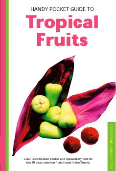 Handy Pocket Guide to Tropical Fruits - Wendy Hutton Handy Pocket Guides