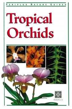 Tropical Orchids of Southeast Asia - David Banks Periplus Nature Guides