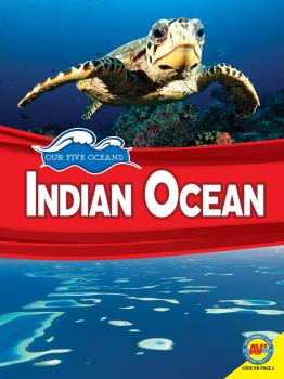 Indian Ocean - Helen Friesen 