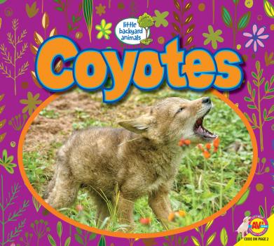 Coyotes  - John Willis 