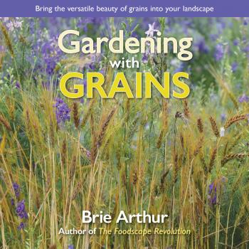Gardening with Grains - Brie Arthur 