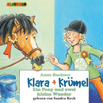 Ein Pony und zwei kleine Wunder - Klara + Krümel 6 - Anne Bachner 