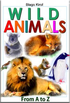 Wild Animals From A to Z - Blago Kirof 