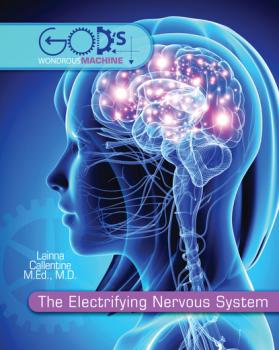 The Electrifying Nervous System - Dr. Lainna Callentine God's Wondrous Machine