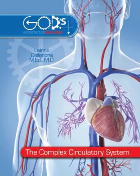 Complex Circulatory System, The - Dr. Lainna Callentine God's Wondrous Machine