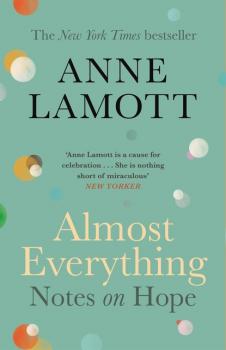 Almost Everything - Anne  Lamott 